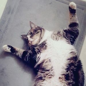 Meet your Posher, Christina